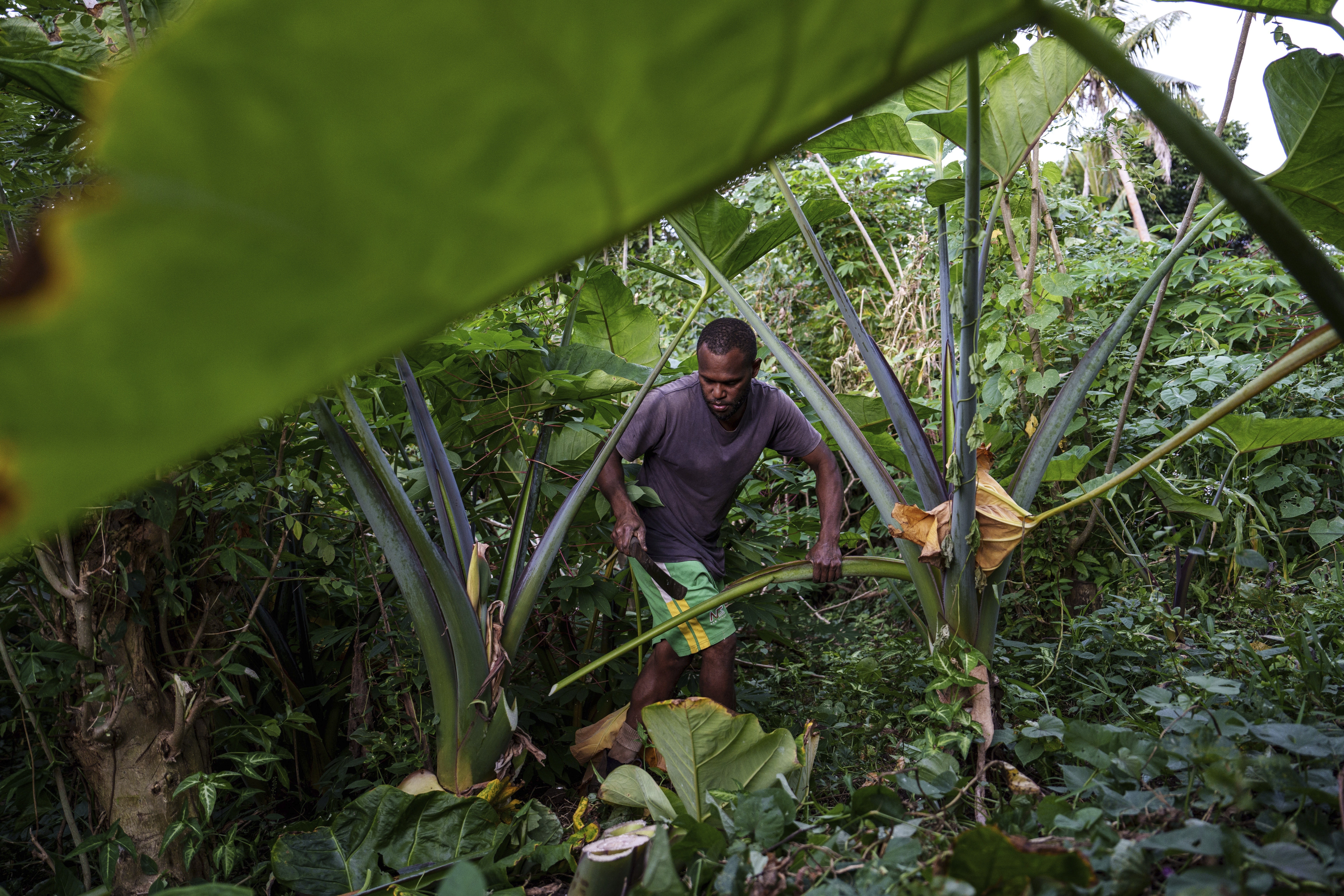 Climate Vanuatu World Court