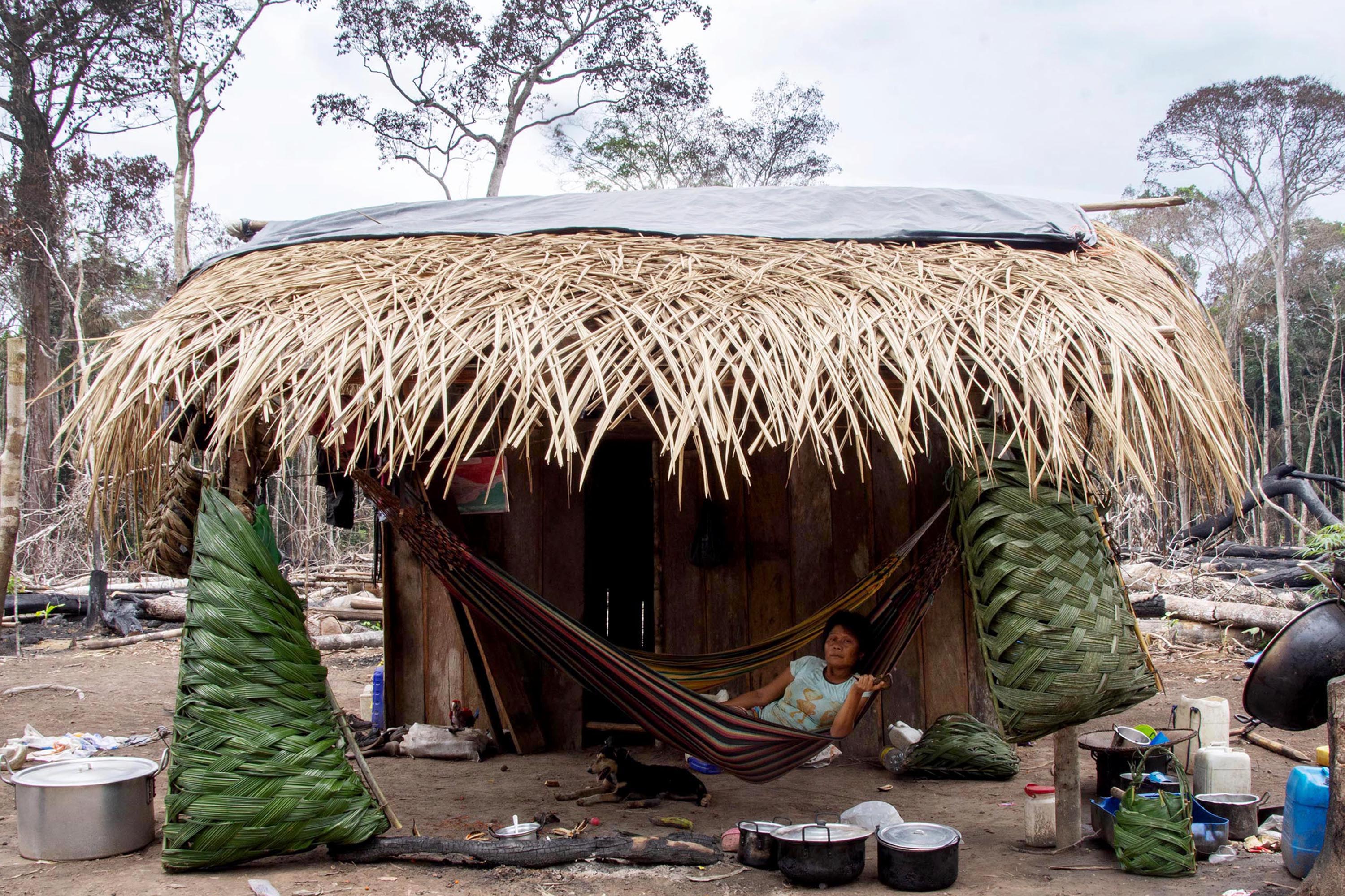Numpeida lies in a hammock below a palm-frond roof at the entrance of a small Amazonian house