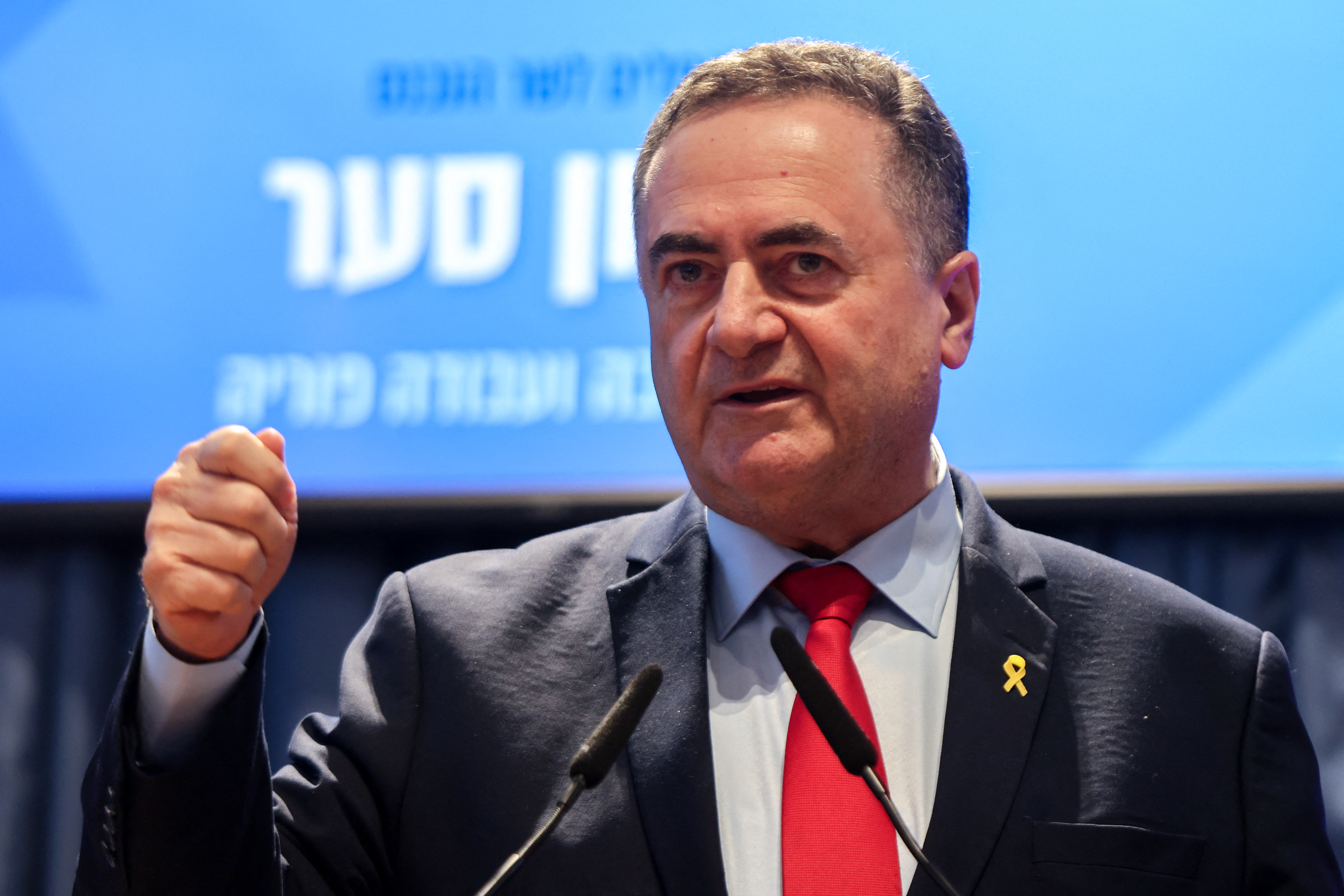 Israel's Defence Minister Israel Katz