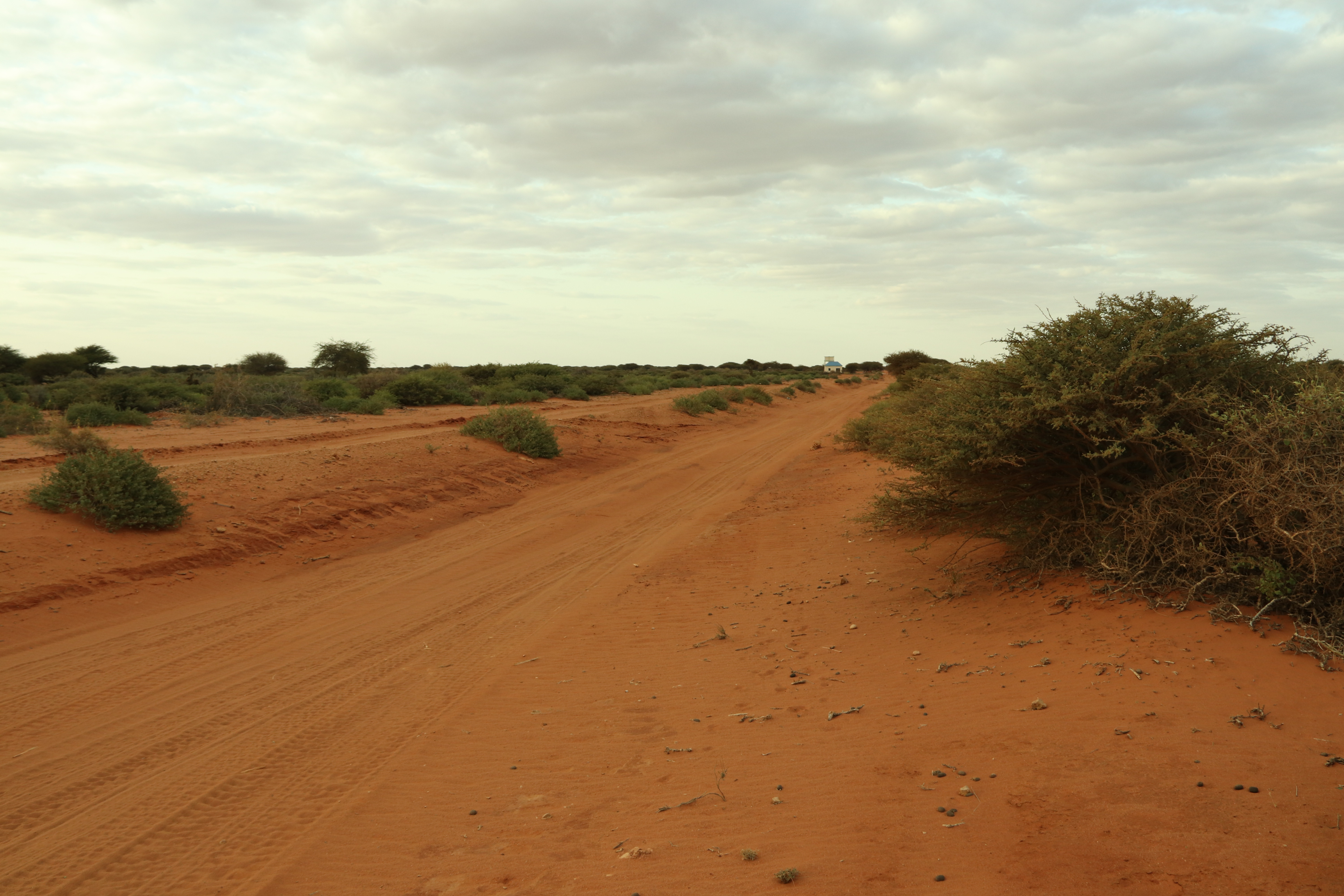 Somalia
