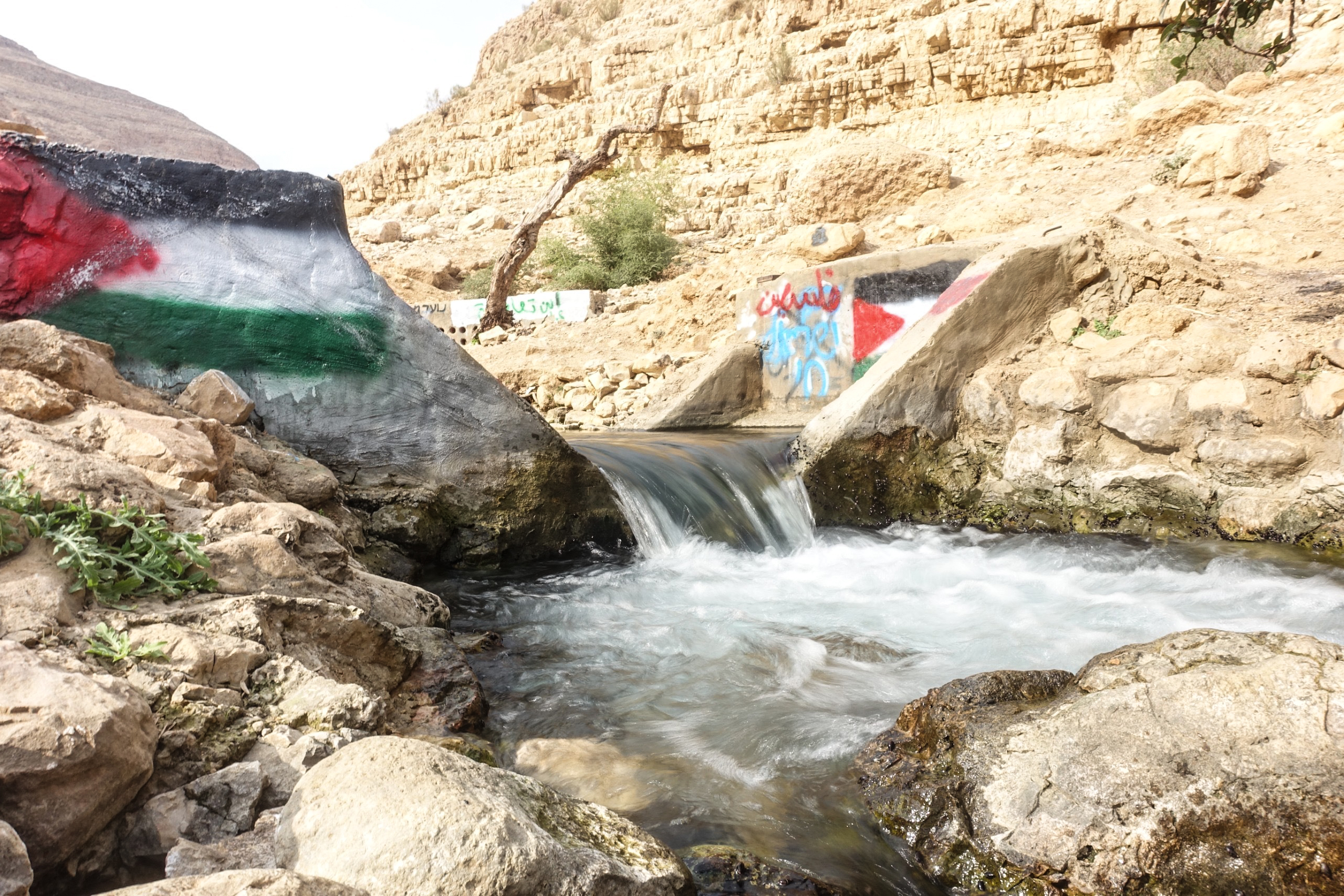 West Bank Ras Ein al-Auja