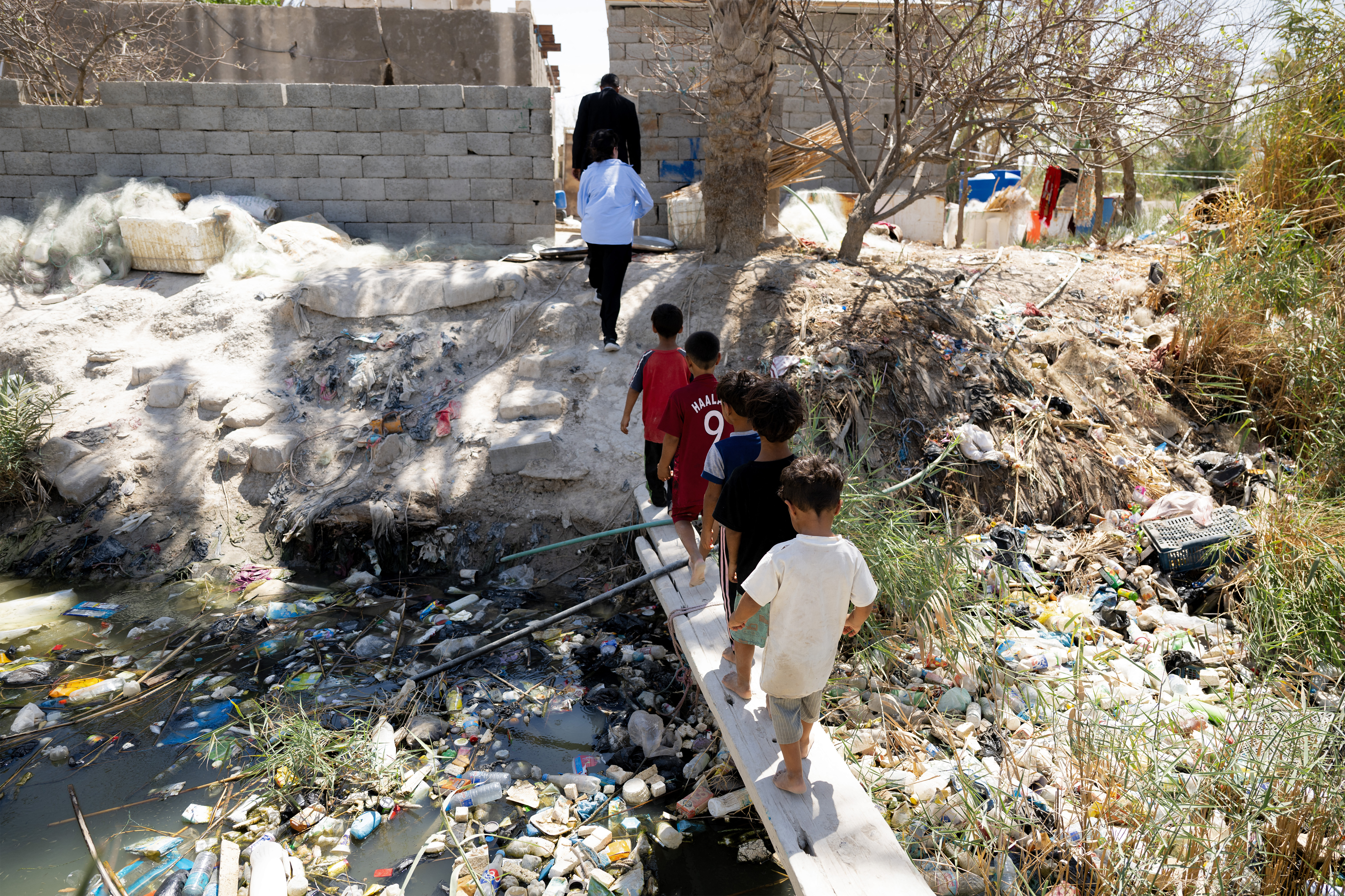 Water salinity hurting farmers, livestock in Iraq