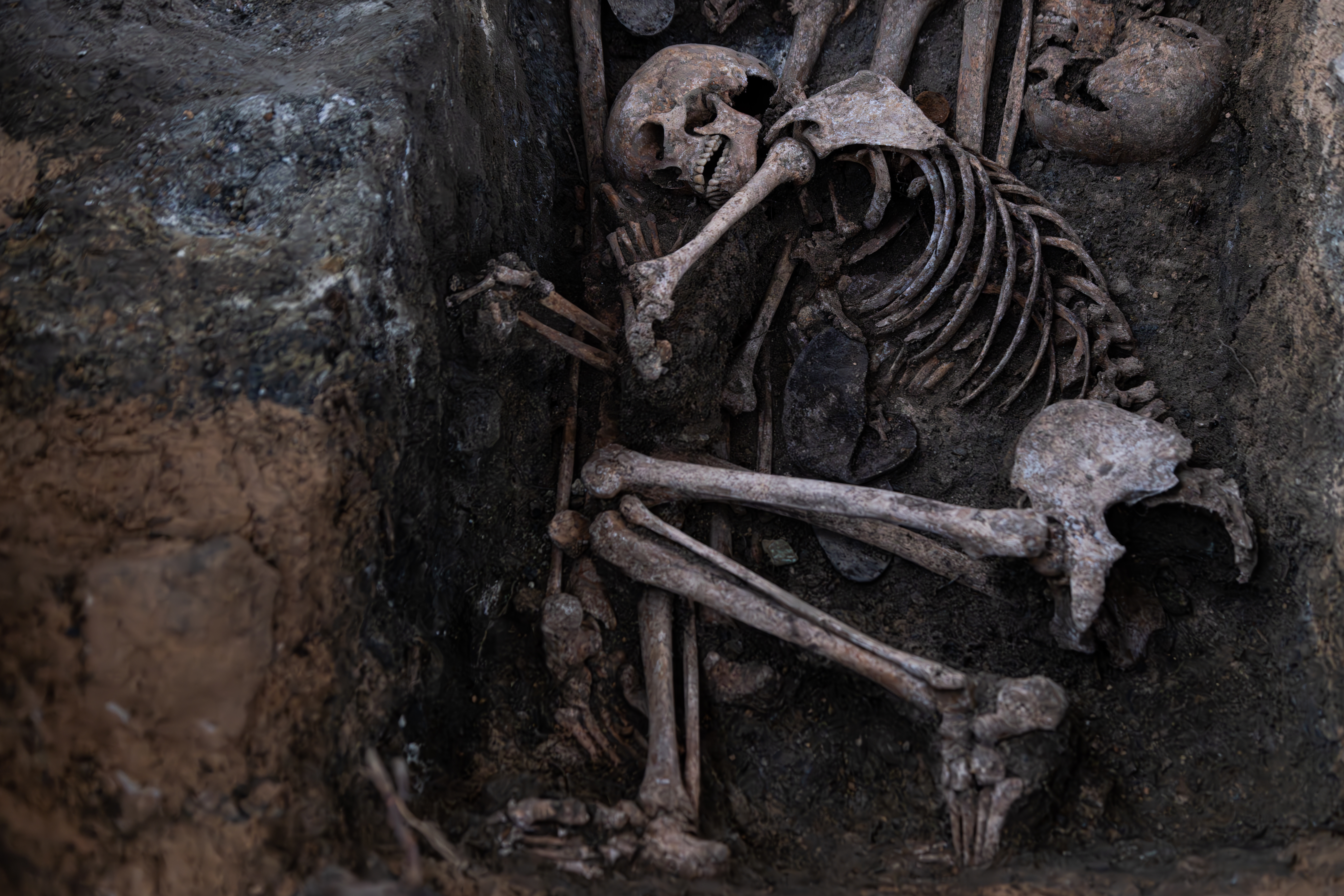 Restos de víctima 8-1763551064