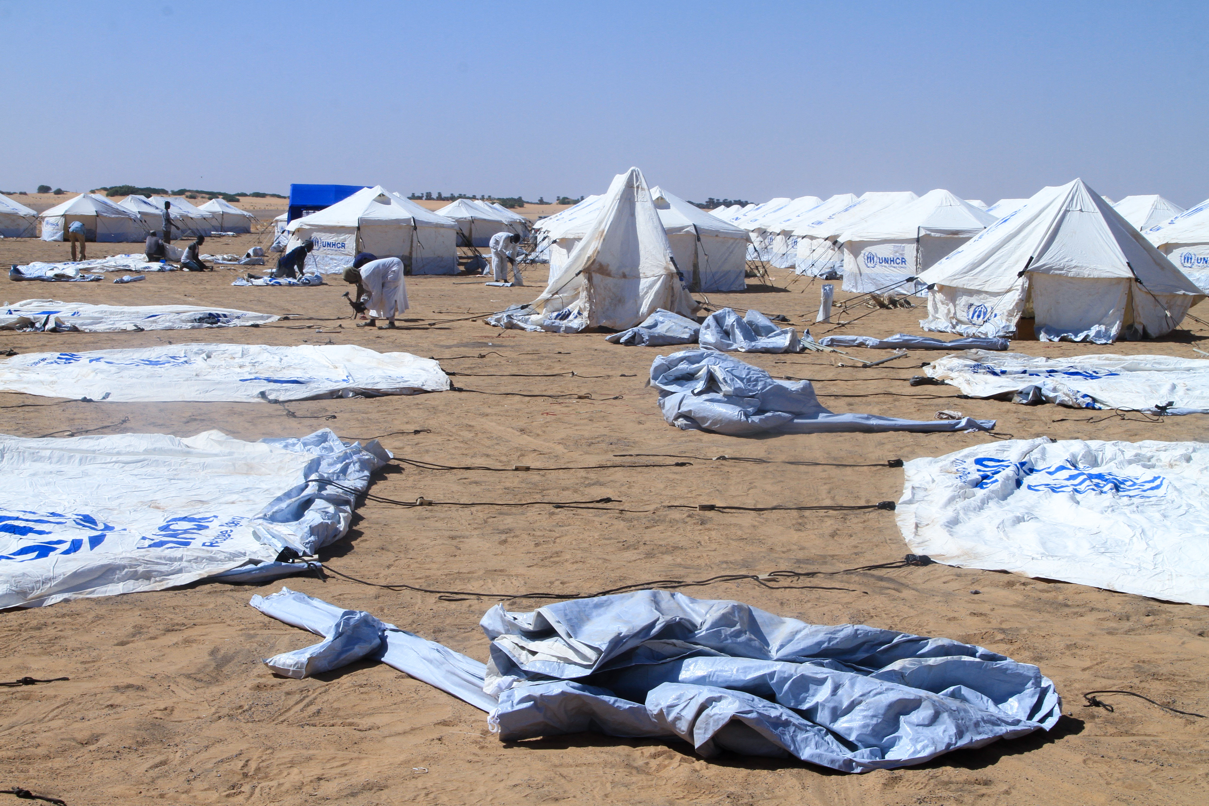 Sudanese volunteers prepare tents for those who fled el-Fasher at the al-Afad camp for displaced people in the town of al-Dabba, northern Sudan, on November 20, 2025 [AFP]