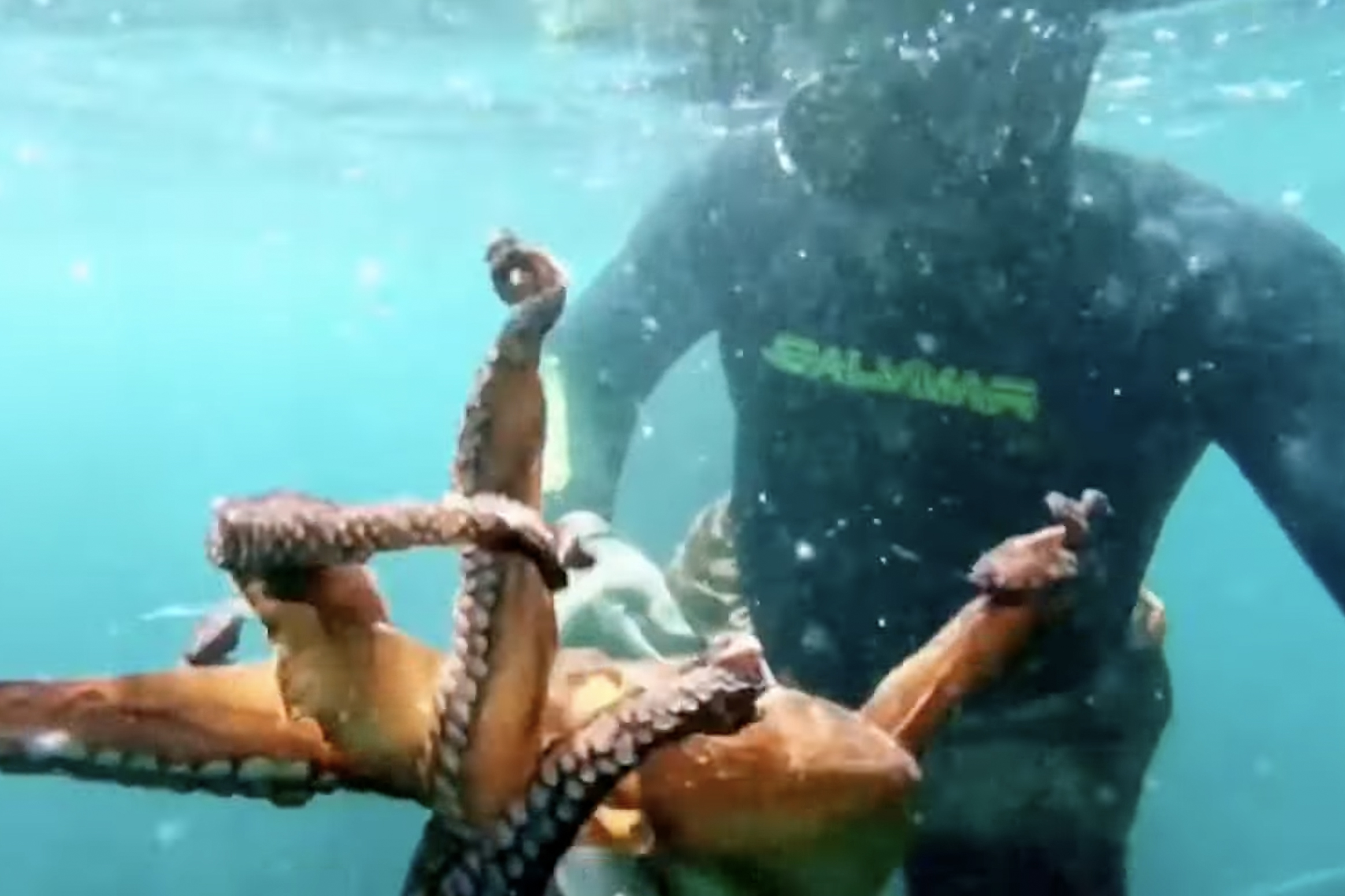 Salem Abu Amira making a catch under Gaza’s waters [Al Jazeera]