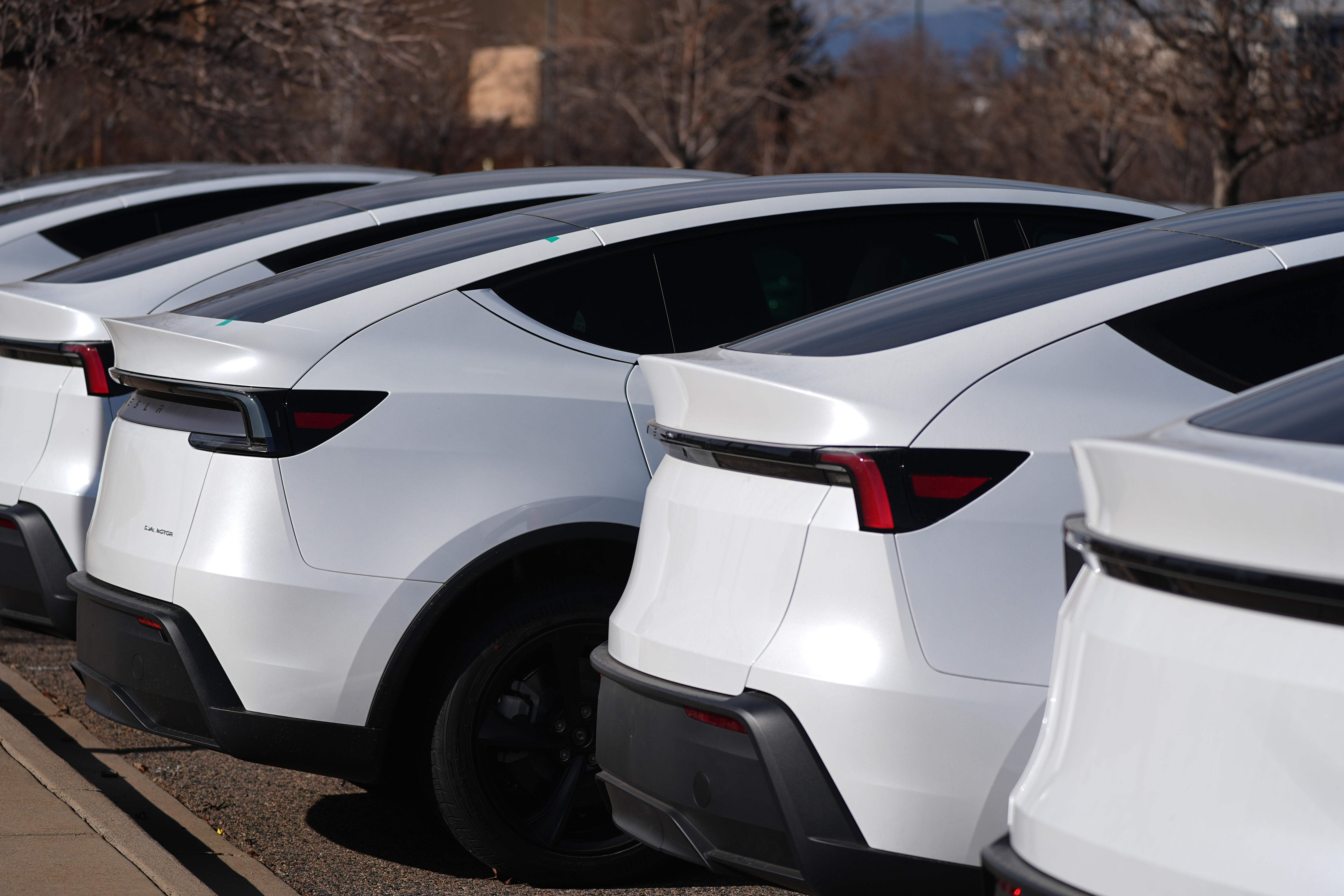 The state's Department of Motor Vehicles recommended a potential 30-day sales blackout [File: David Zalubowski/AP]