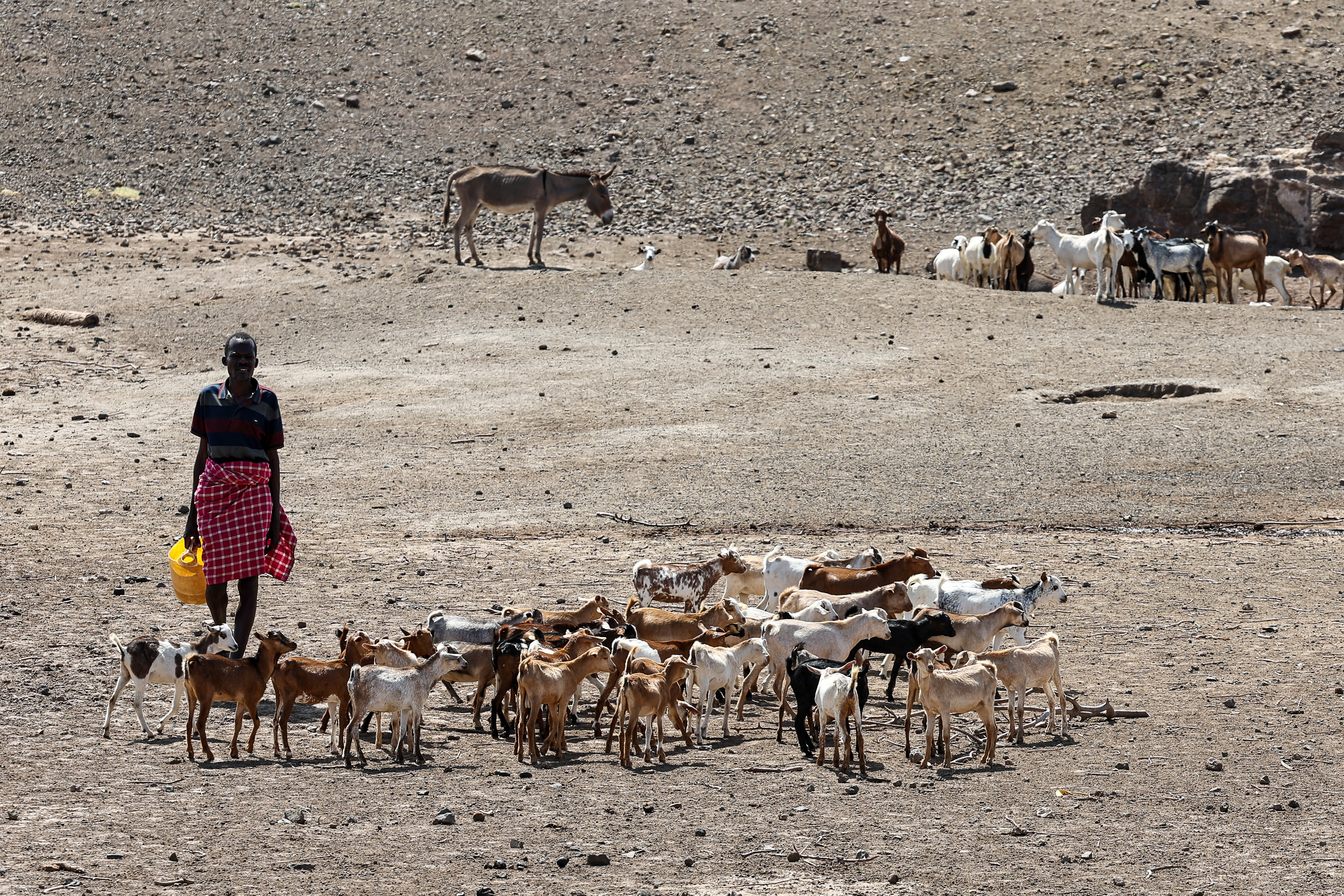 Severe drought leaves over two million Kenyans hungry and desperate