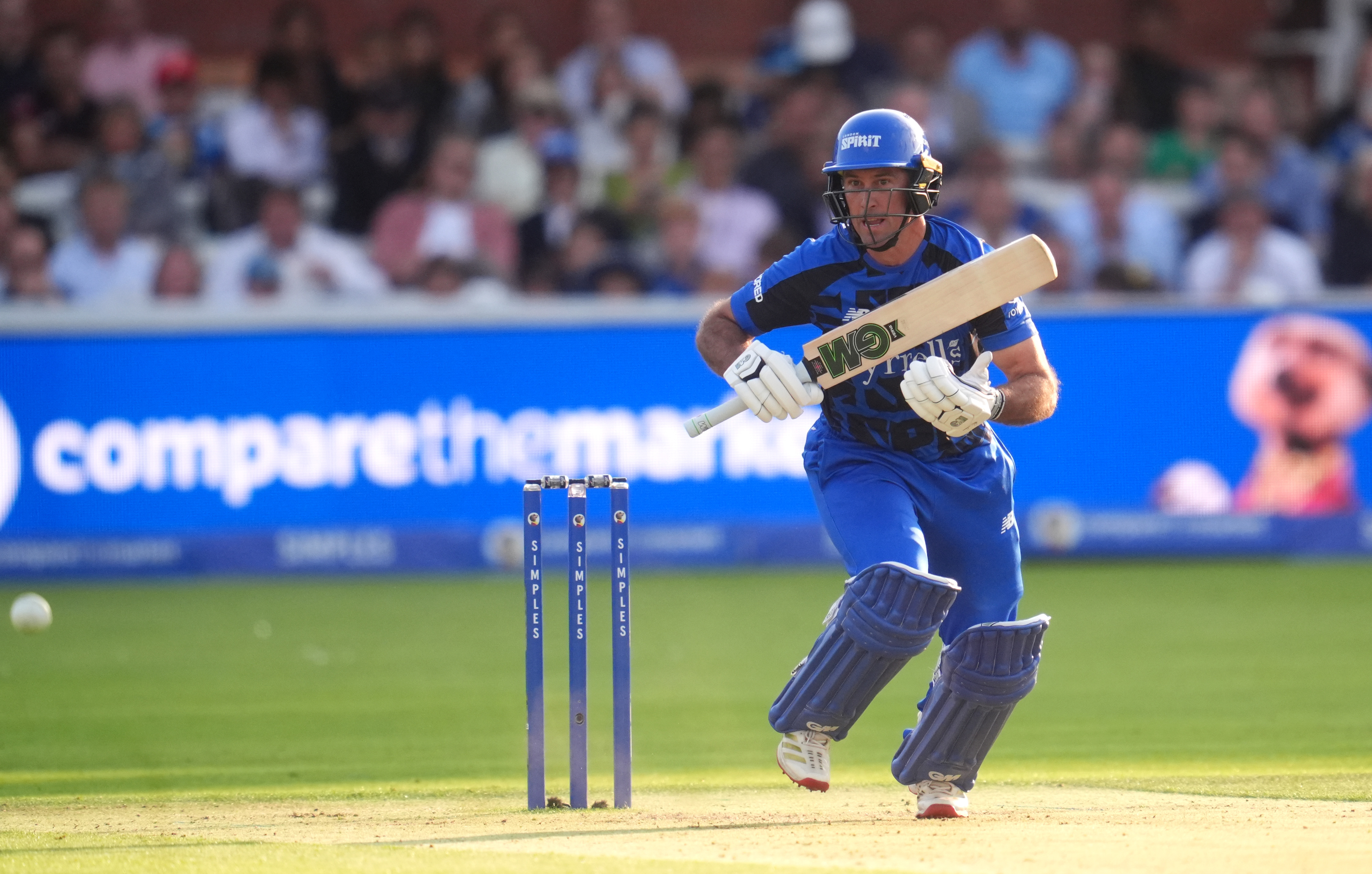 Wayne Madsen in action.