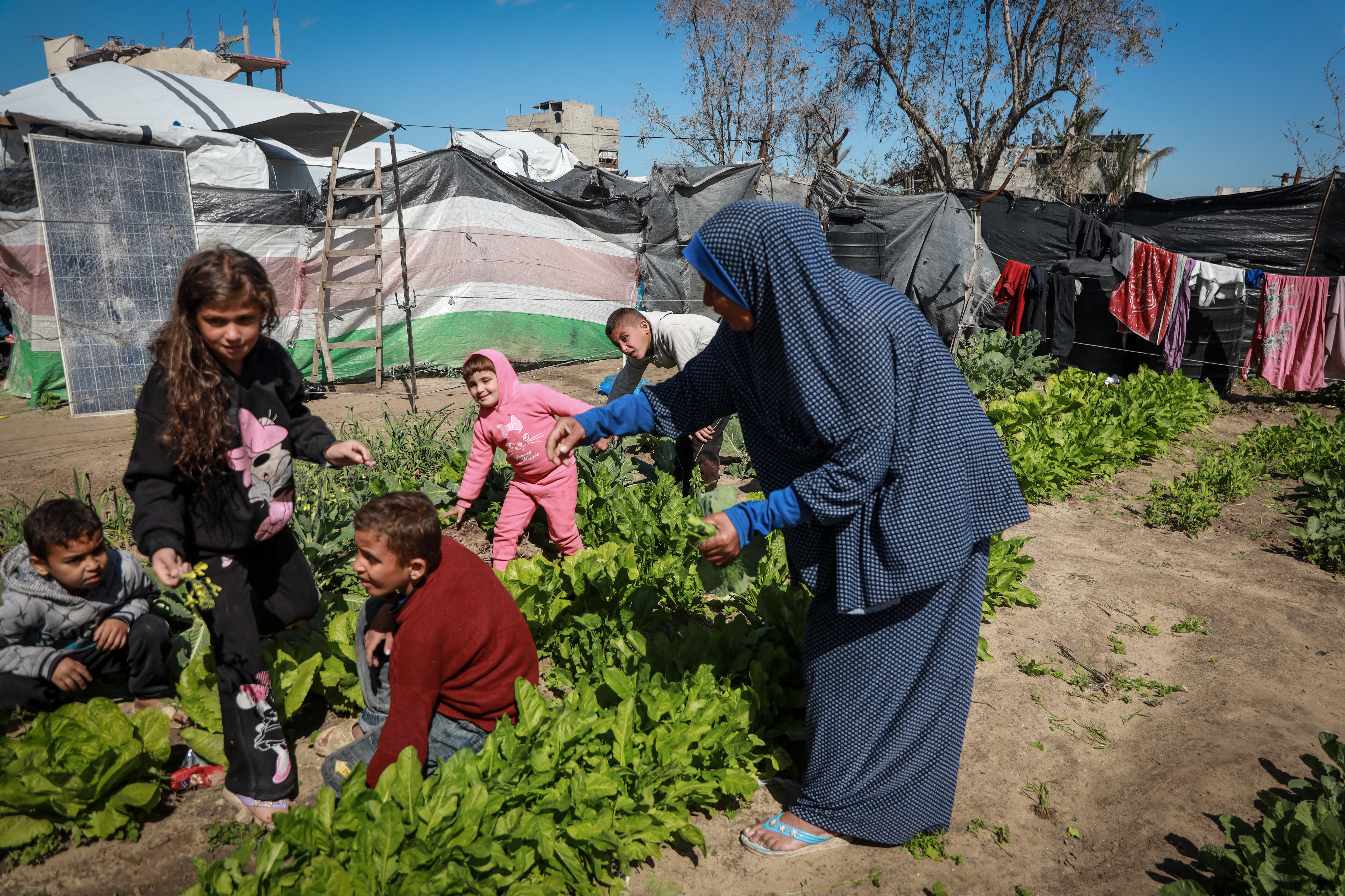 Sousan works with her grandchildren to cultivate her remaining land, an act she sees as resistance and daily survival, reflecting her attachment to it.