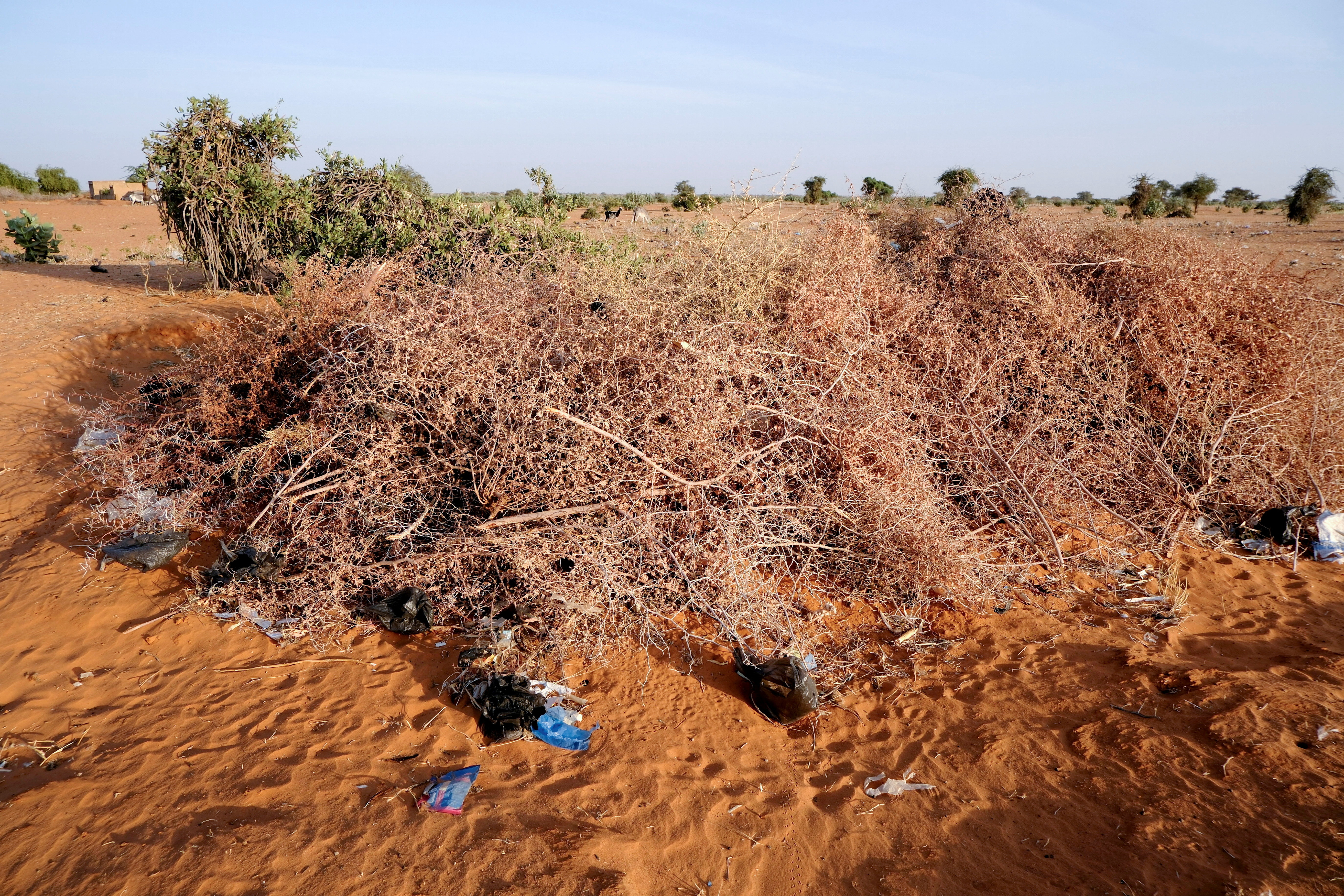 Sudan
