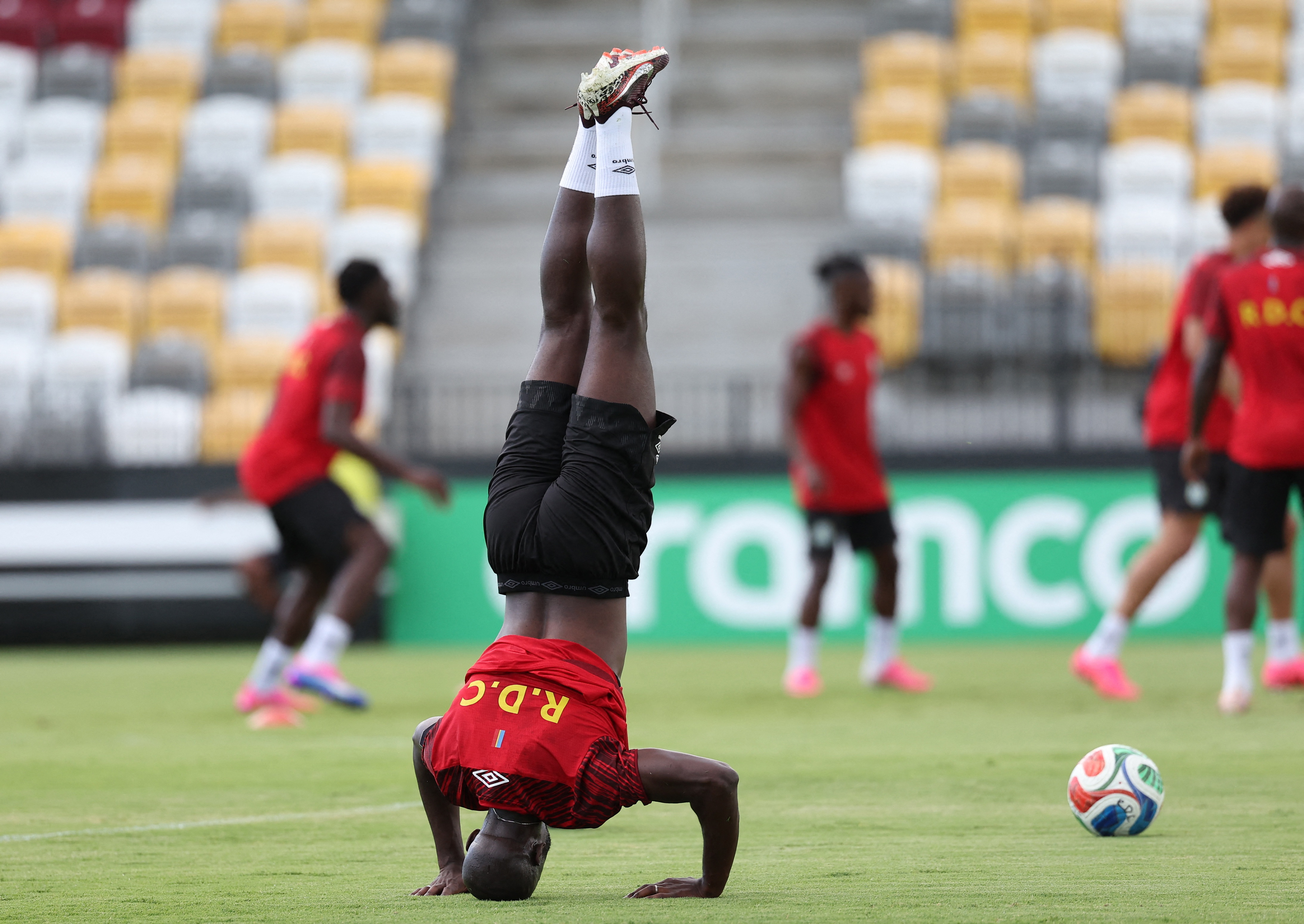 After securing their World Cup 2026 place through two gruelling qualifying rounds, DR Congo are understandably head over heels to be at the tournament in North America