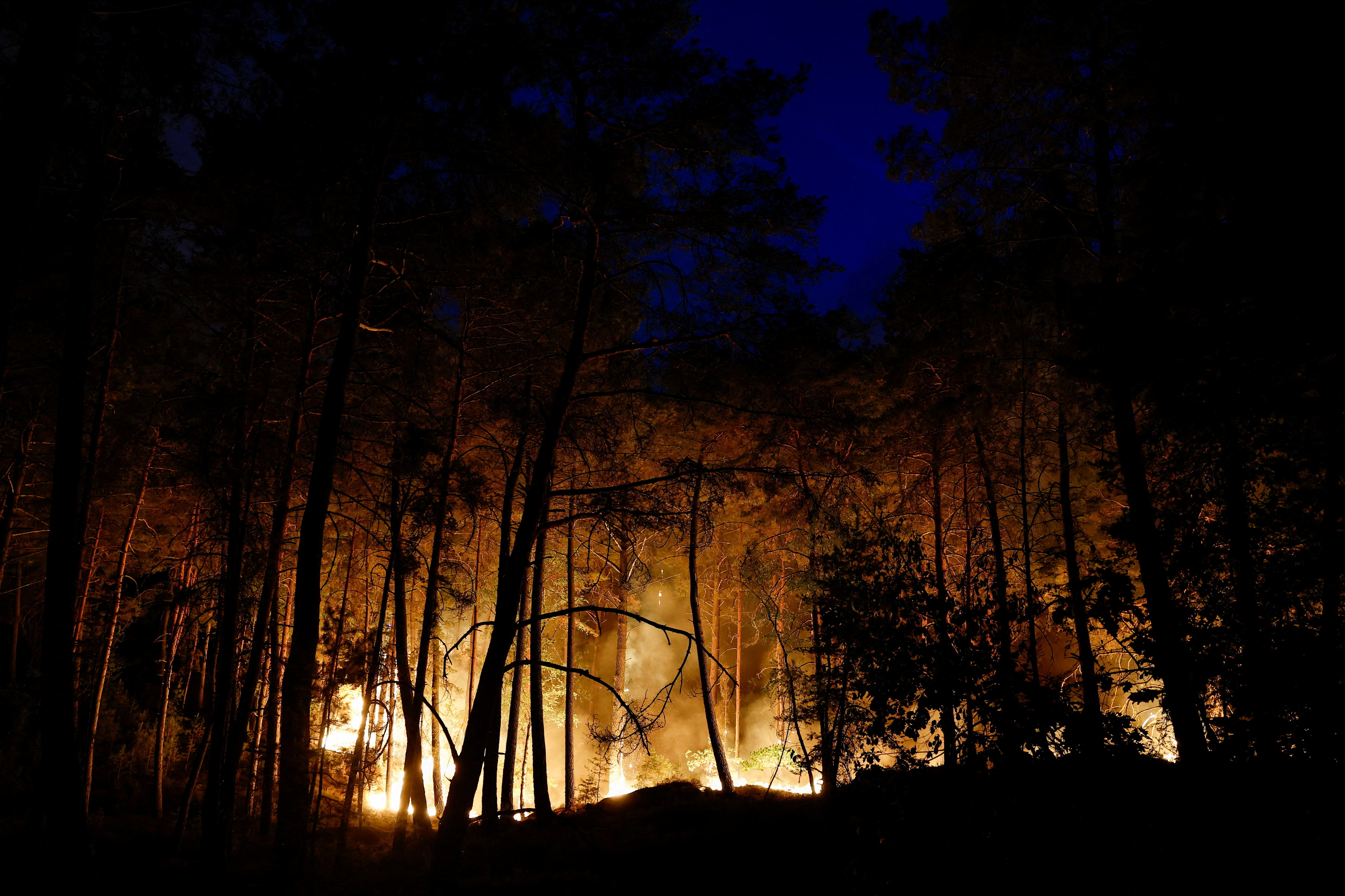 A wildfire burns in Noisy-sur-Ecole near Fontainebleau, southern Paris, France, July 12, 2026. REUTERS/Benoit Tessier