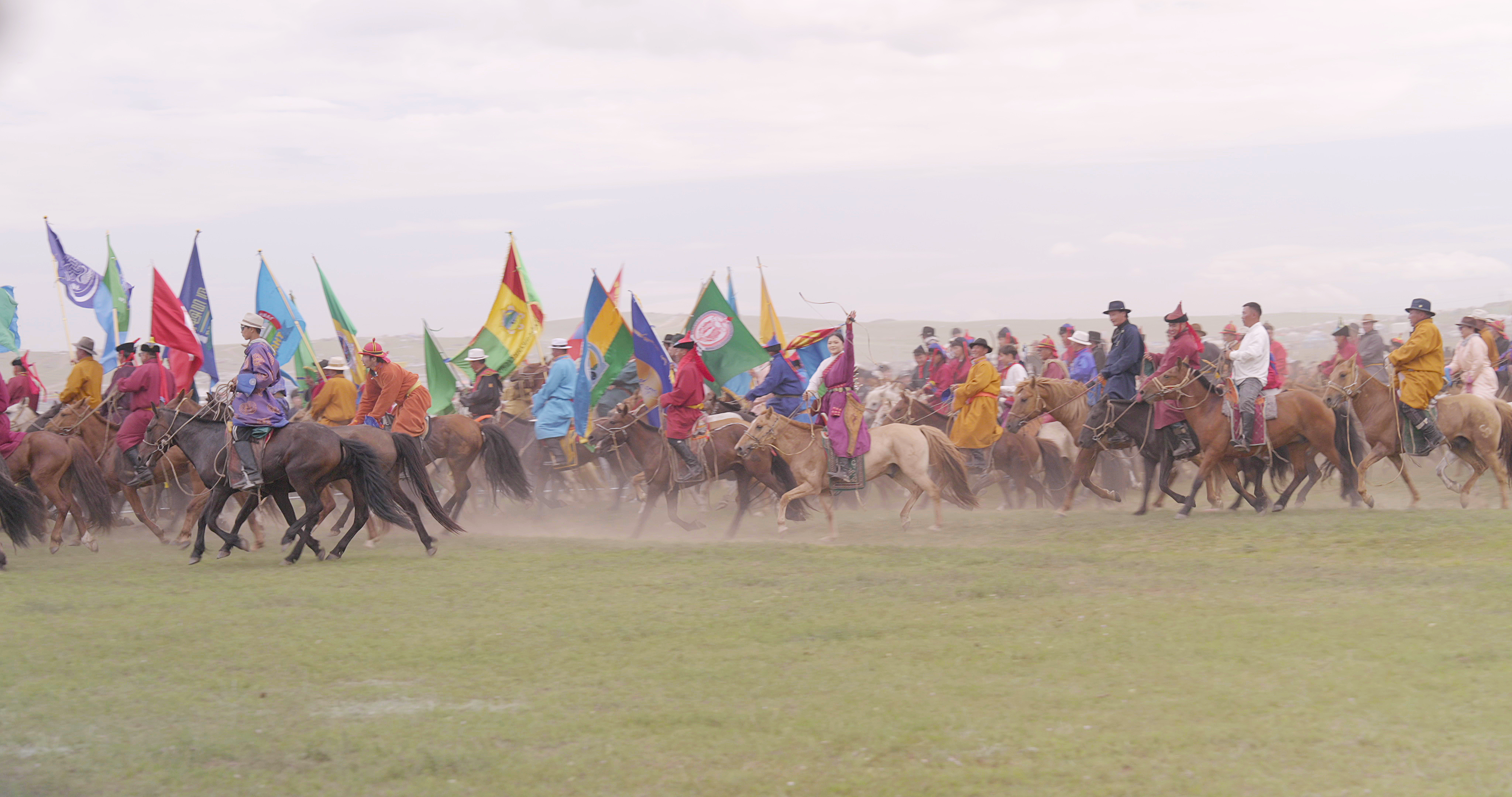 Ten Thousand Horses in Mongolia during World Horse Day