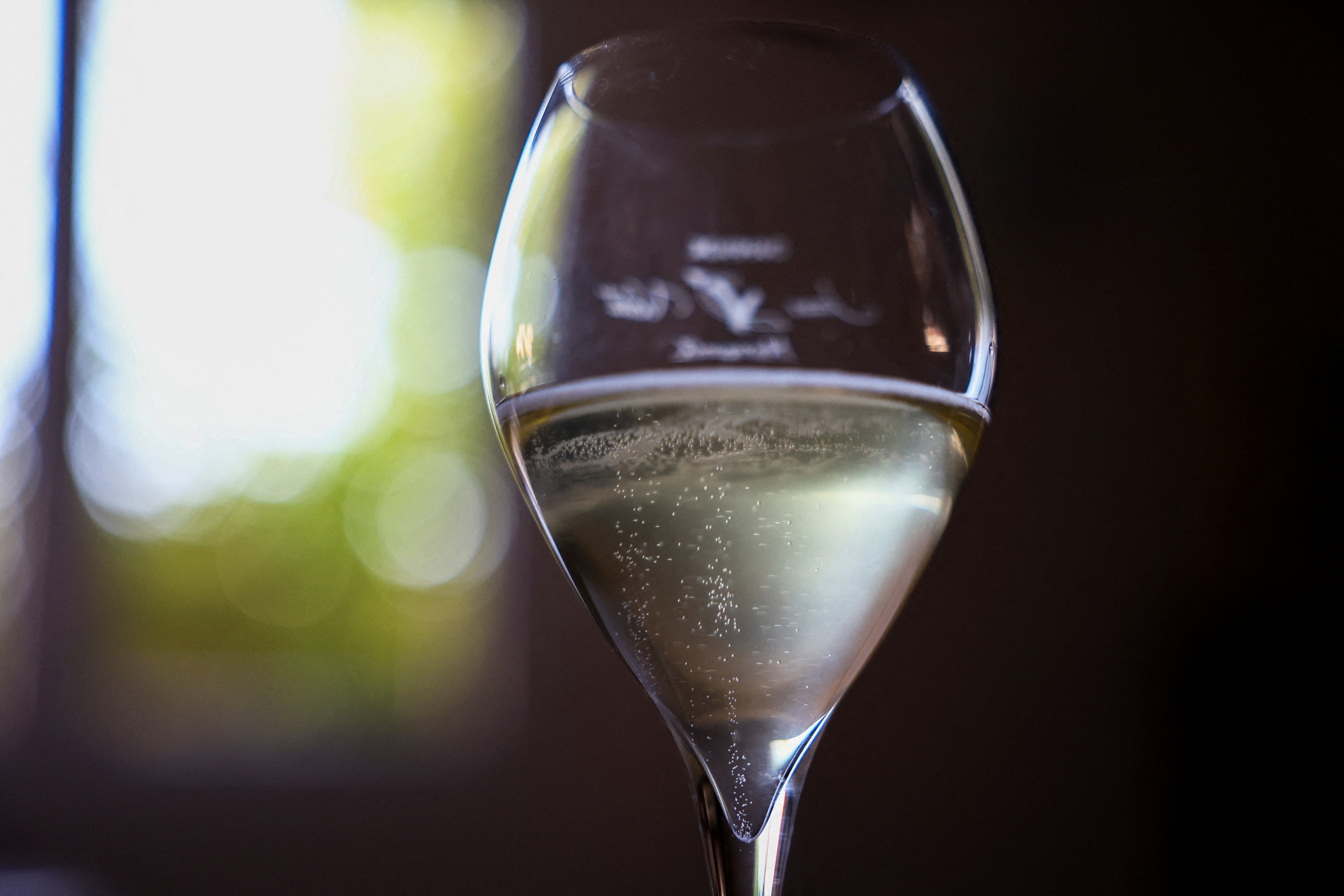 A glass of Champagne at the Champagne Jean Velut vineyard, during the early start of the harvest, in Montgueux, France, August 14, 2026