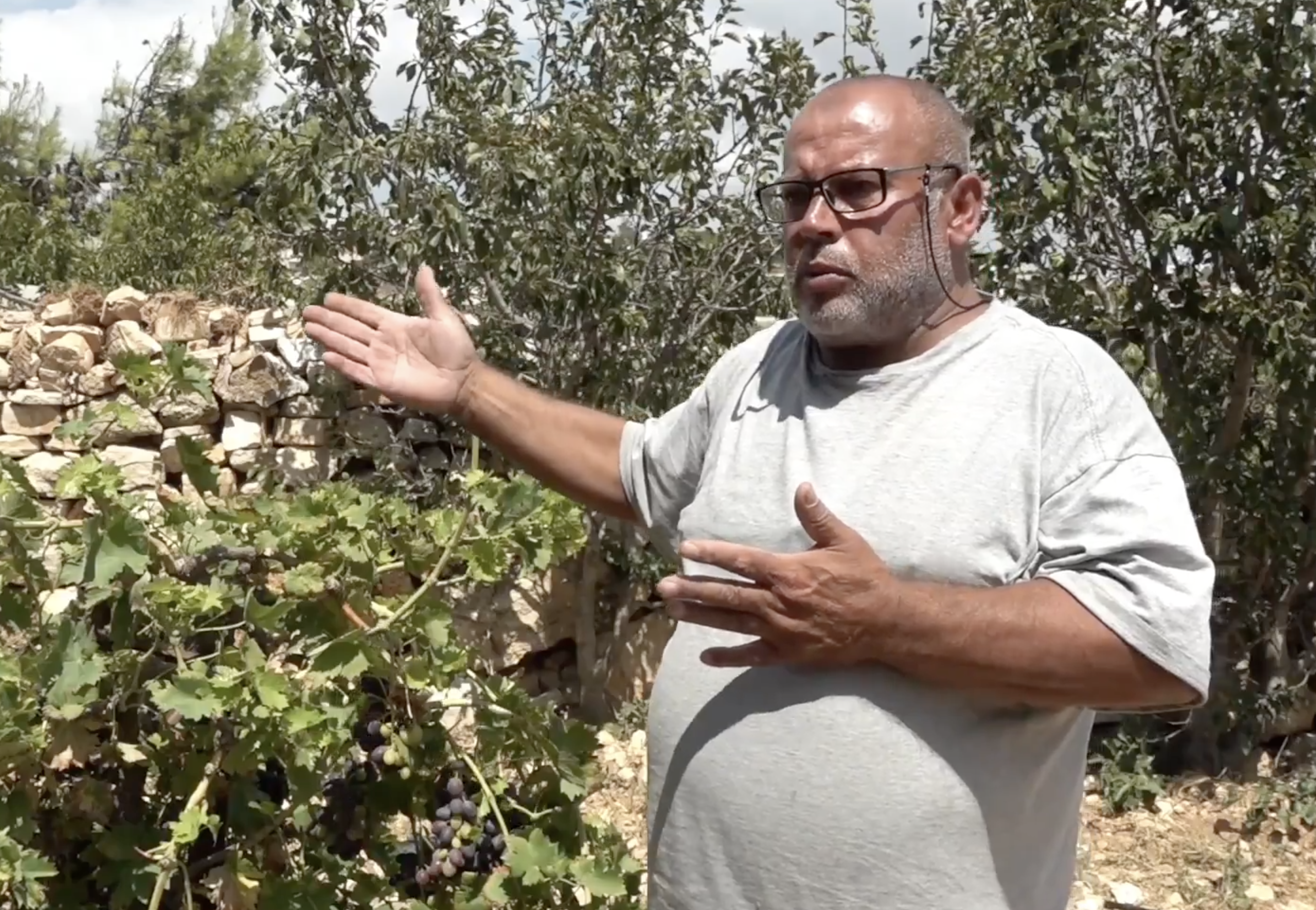 Palestinian farmer Anwar Sabarneh, whose sheep have been confined for months, is barred by the Israeli military from accessing his nearby vineyards in Beit Ummar.[Screengrab/Aljazeera]