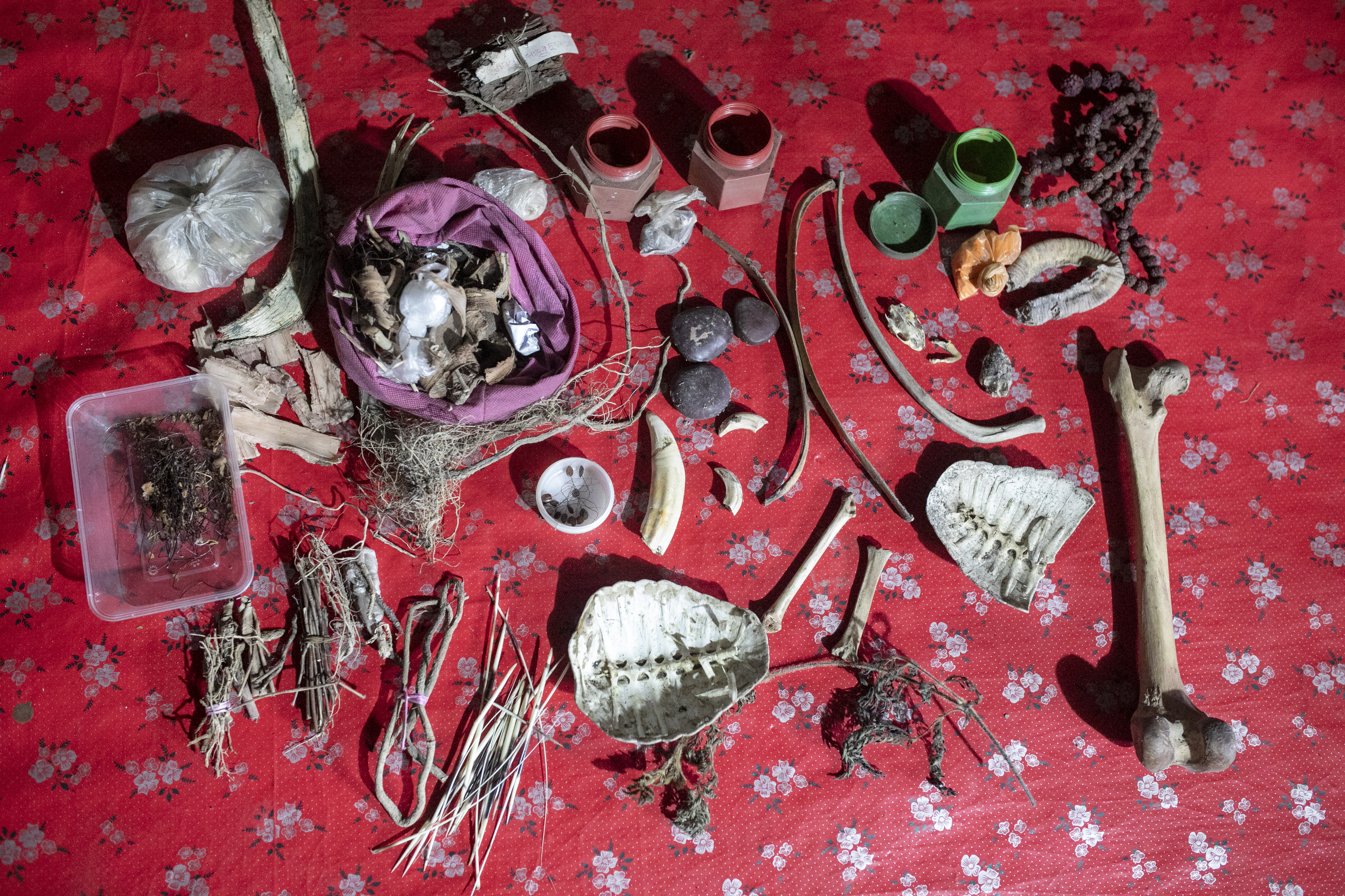 Traditional medicines used by Suranjan Raptan, including dried herbs, roots, animal bones, shells and teeth, laid out at his home in Koyra